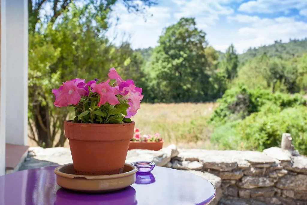 Domaine La Procureuse Hotel Brue-Auriac